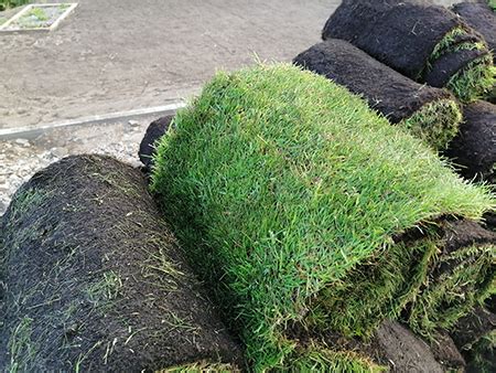 turf suppliers bolton area